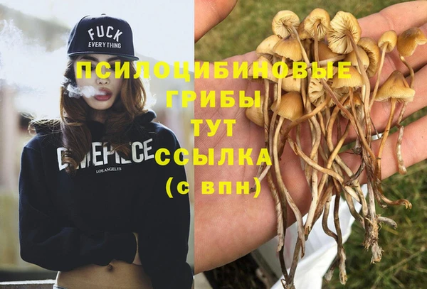 метадон Белокуриха