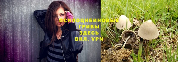 метадон Белокуриха