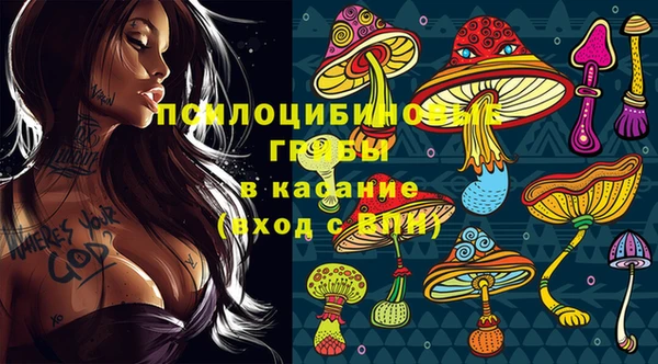 амф Белоозёрский