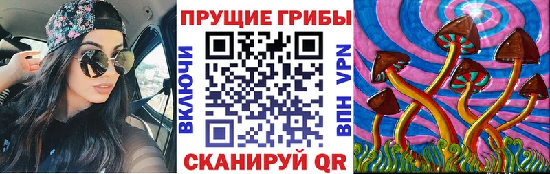 Псилоцибиновые грибы Cubensis Верещагино